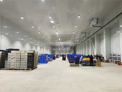 建設(shè)8000平米電商物流低溫冷藏庫費(fèi)用造價(jià)是多少？