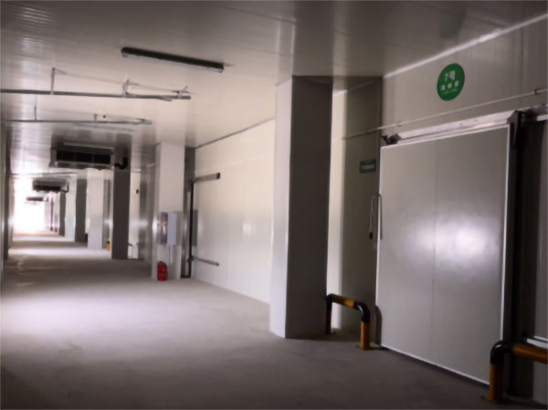 建一個5000立方香蕉冷藏冷庫大概要多少錢？