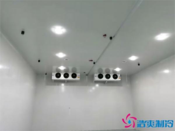 建造彩椒保鮮冷庫安裝費用需要多少錢？