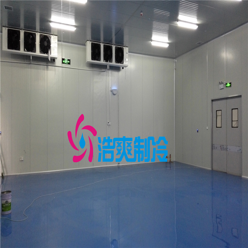 山東慧心醫(yī)療建設(shè)2~8℃溫智能自動(dòng)冷庫項(xiàng)目工程案例 山東慧心醫(yī)療建設(shè)2~8℃溫智能自動(dòng)冷庫項(xiàng)目工程案例