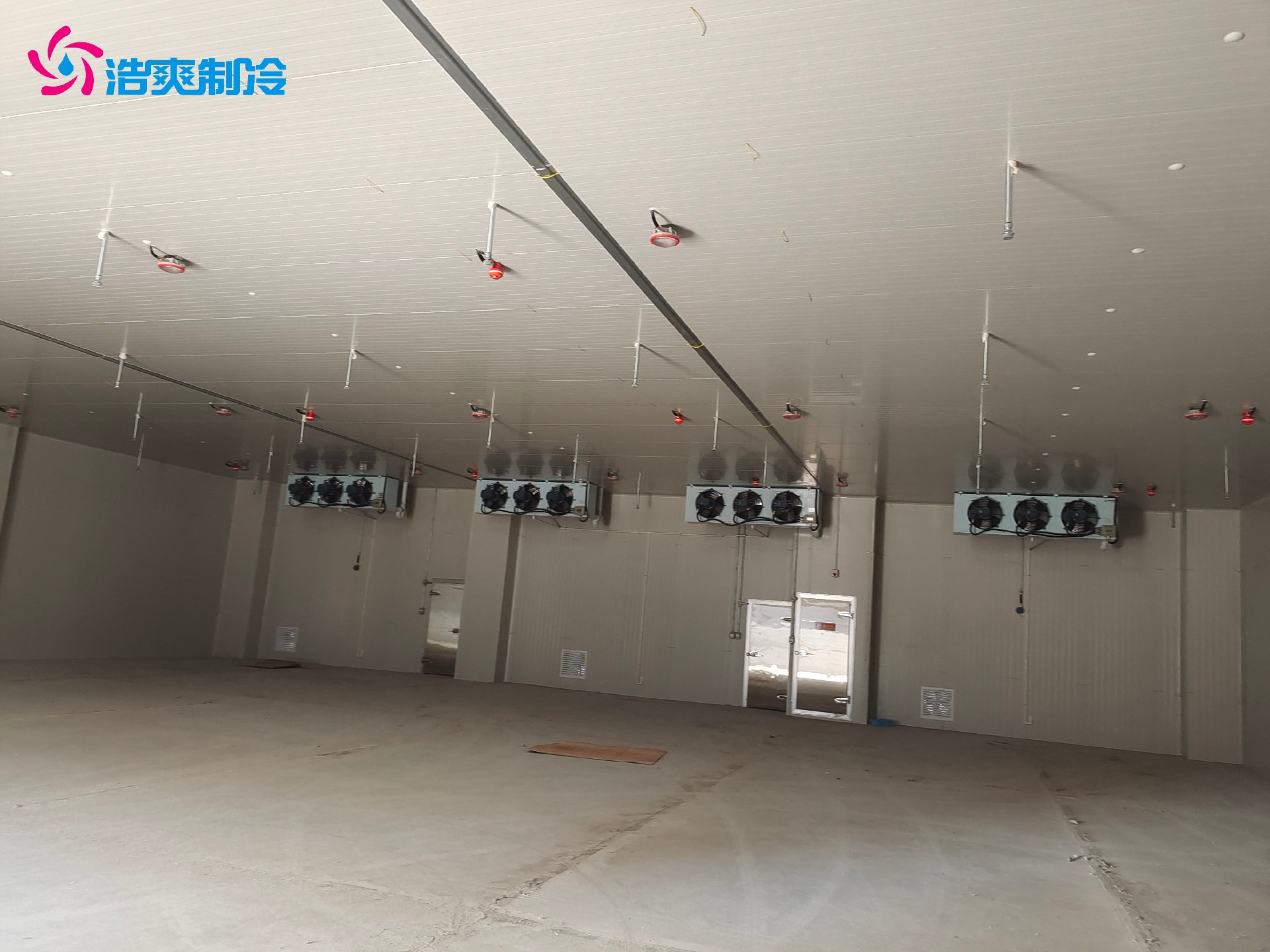 1676269361207942.jpg 1676269361207942.jpg