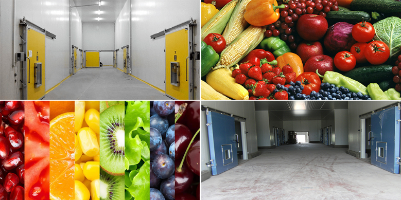 氣調(diào)保鮮庫 大中型果蔬冷藏庫安裝 冷庫定制安裝
