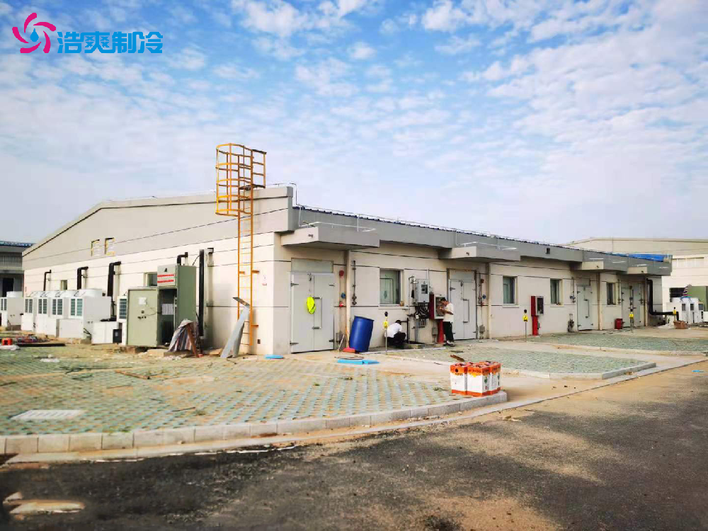 工業(yè)防爆冷庫 實(shí)驗(yàn)室化工超低溫 冷藏庫建設(shè)安裝設(shè)計(jì) 安裝 工業(yè)防爆冷庫 實(shí)驗(yàn)室化工超低溫 冷藏庫建設(shè)安裝設(shè)計(jì) 安裝