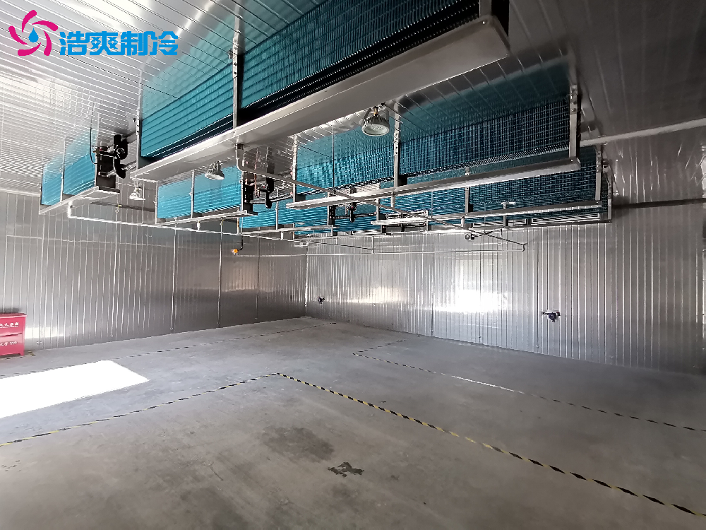 定制IICT4電子化工防爆冷庫(kù)安裝設(shè)計(jì)建造施工方案 定制IICT4電子化工防爆冷庫(kù)安裝設(shè)計(jì)建造施工方案