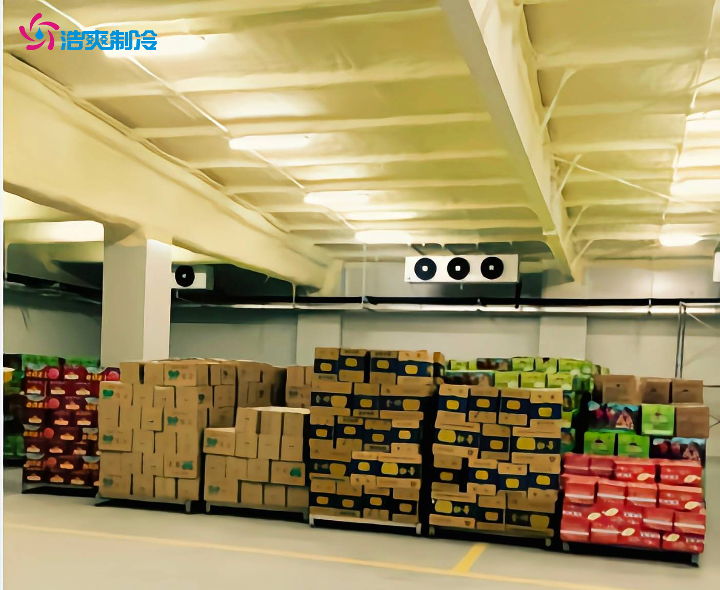 大型5000平方農(nóng)產(chǎn)品保鮮冷庫的建造價格 大型5000平方農(nóng)產(chǎn)品保鮮冷庫的建造價格