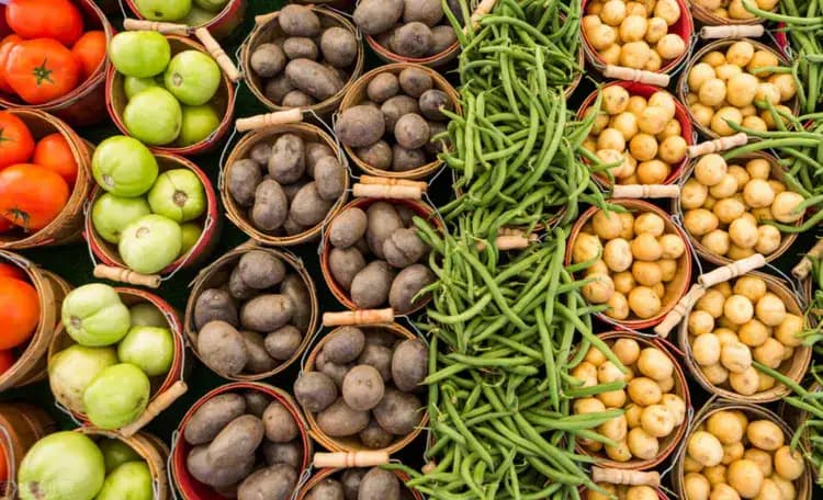 蔬菜冷庫(kù)的五種預(yù)冷方式介紹