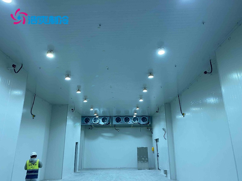 河南 醫(yī)藥冷庫(kù)設(shè)計(jì)標(biāo)準(zhǔn)和建造流程