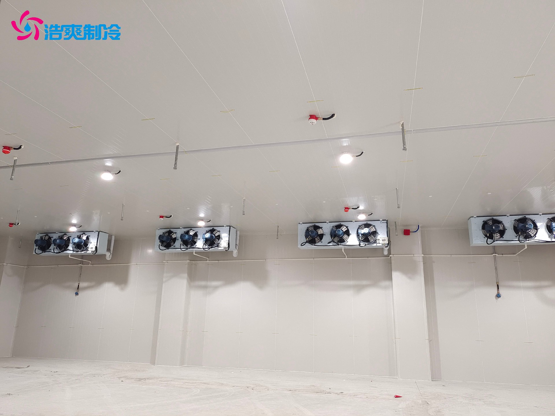 定制IICT4電子化工防爆冷庫(kù)安裝設(shè)計(jì)建造施工方案