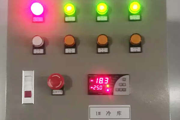 圖為低溫食材冷庫溫度控制器實(shí)拍