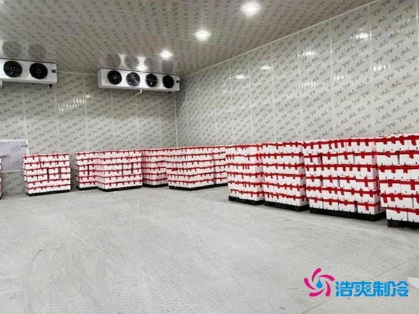 建一個(gè)冷庫(kù)大概需要多少錢