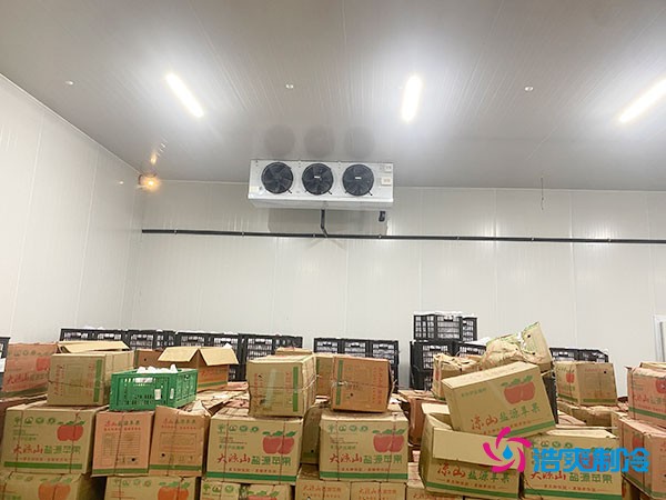 建設(shè)大型冷庫(kù)造價(jià)成本需要多少資金投入呢？