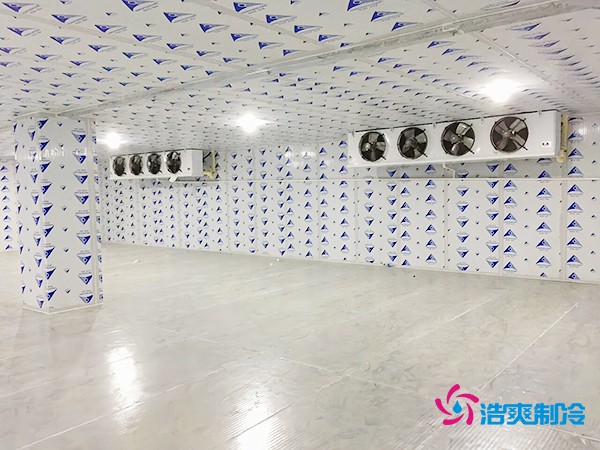 冷庫造價一平米如何計算？智能冷庫建造方案再降百元！