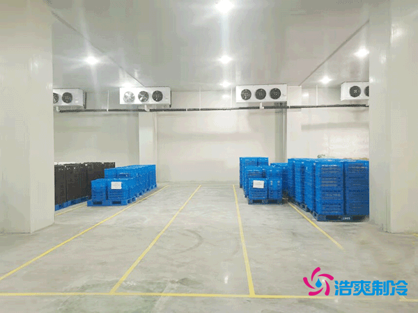 建設一個海鮮低溫冷庫造價多少錢一平方？