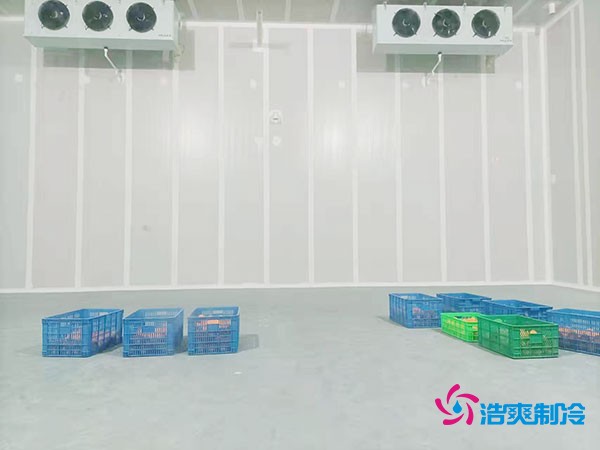 200噸蔬菜保鮮冷庫造價多少錢？需要多大面積？
