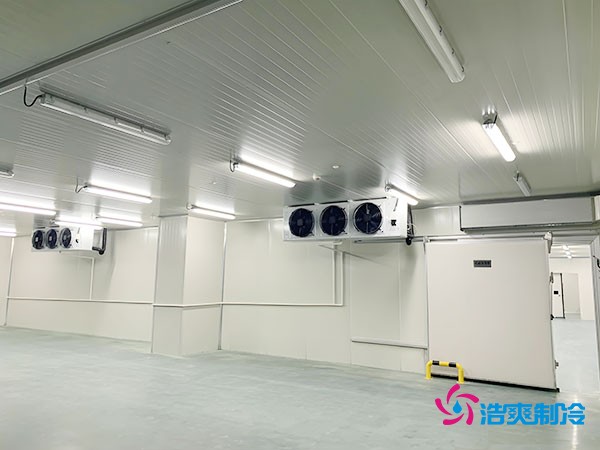 建造500平方米冷藏庫的造價及相關(guān)因素分析