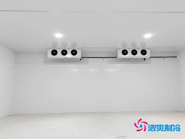 大約需要多少資金才能安裝一座小型移動式冷庫？