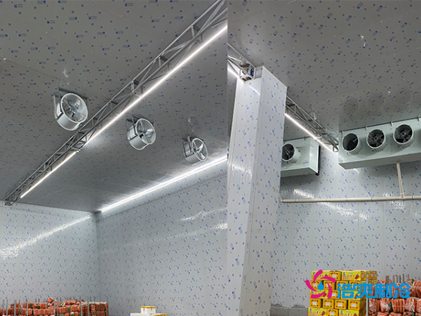 2000平冷庫造價揭秘：這些因素讓你多花幾十萬！