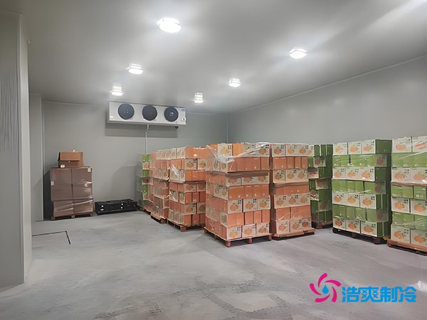 1000噸果蔬保鮮庫造價揭秘，節(jié)省成本就靠這幾點！