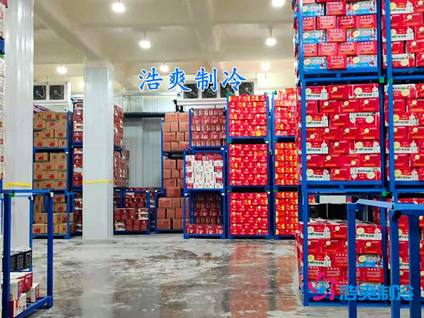 500平果蔬冷庫(kù)造價(jià)曝光！35萬(wàn)起建，省錢秘訣在這里！