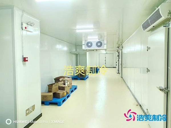 建造一個小型紅酒冷庫的大致造價費用多少錢？