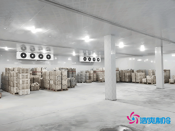 零下35℃制冰！建一個(gè)冷庫(kù)到底要花多少錢？