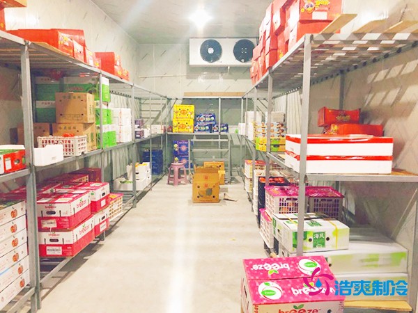 5噸水果需要多大冷庫？答案出乎意料！
