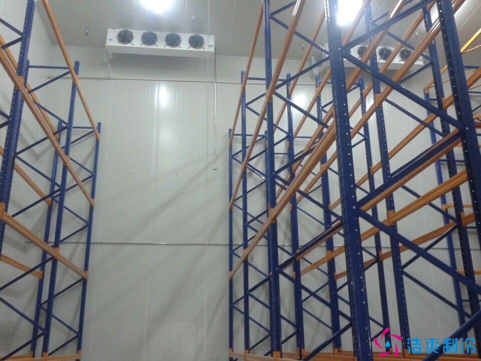 冷庫設(shè)計(jì)倉儲貨架