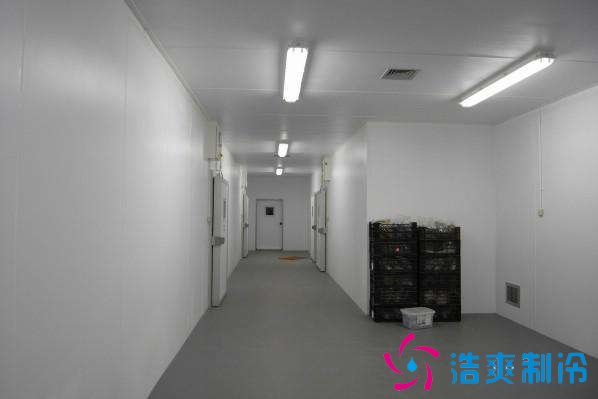 預(yù)建1000噸果蔬冷庫設(shè)計規(guī)劃，冷庫價格多少錢