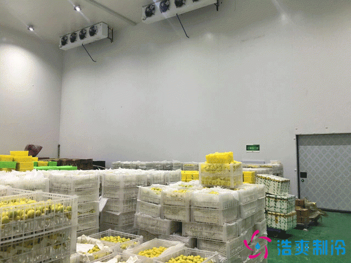 倉(cāng)庫(kù)改建水果冷庫(kù)