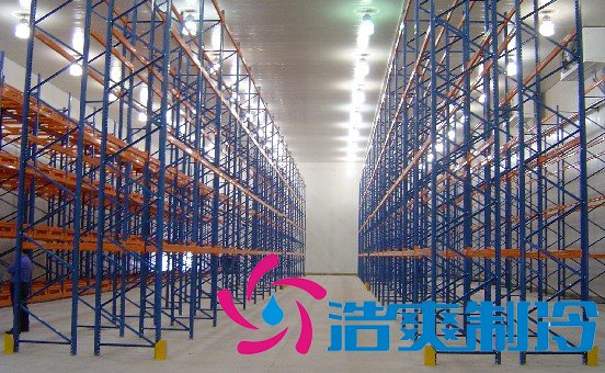 地下室建造5000平米冷庫出租，冷庫總成本是多少