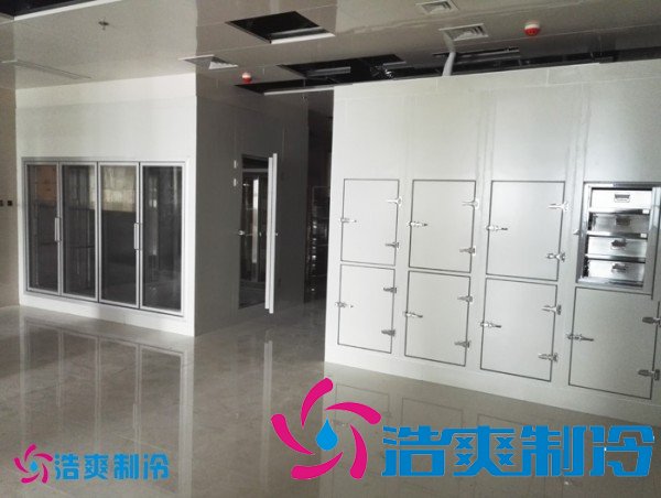 建造2-8℃社區(qū)衛(wèi)生中心冷庫(藥品冷藏庫)設(shè)備安裝造價(jià)多少