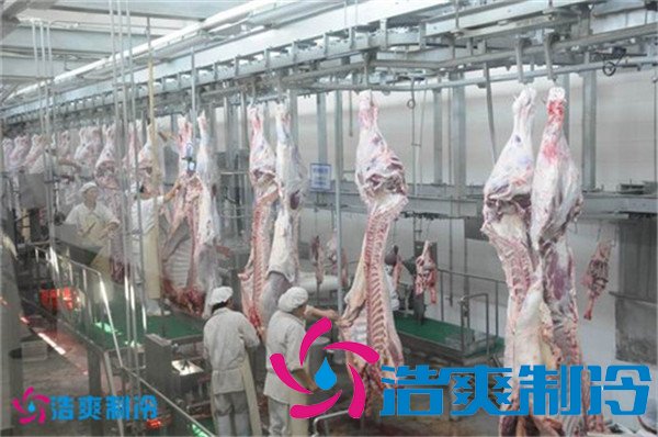 1000平米屠宰場(chǎng)冷庫(豬肉冷凍庫)