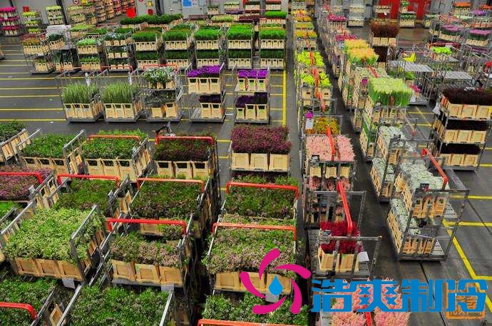 上海1000㎡花卉恒溫庫(kù)安裝設(shè)備需要多少錢(qián)