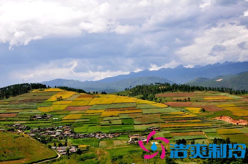 云南冷庫市場(chǎng)現(xiàn)狀