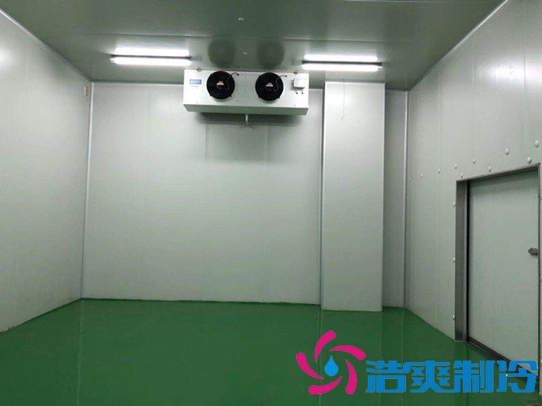 醫(yī)療冷庫的安裝標(biāo)準(zhǔn)，2-8℃生物制品冷庫安裝制冷設(shè)備造價 冷庫內(nèi)景圖片