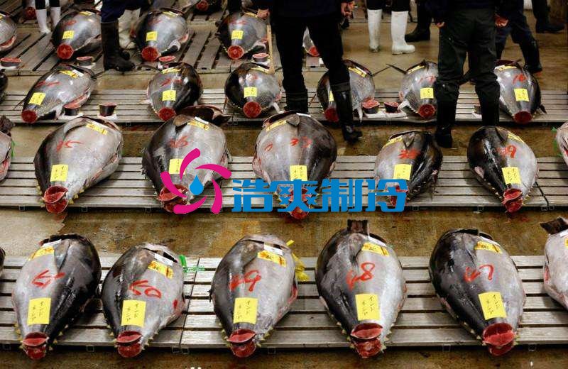 浩爽制冷，金槍魚冷庫(kù)，超低溫冷凍庫(kù)