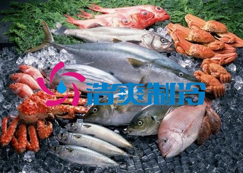 浩爽制冷，海鮮冷凍庫(kù)、食品冷凍庫(kù)
