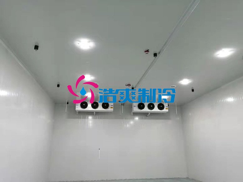 浩爽制冷，巧克力冷藏庫