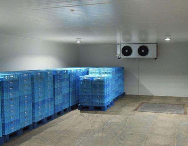 浩爽制冷、食品速凍庫